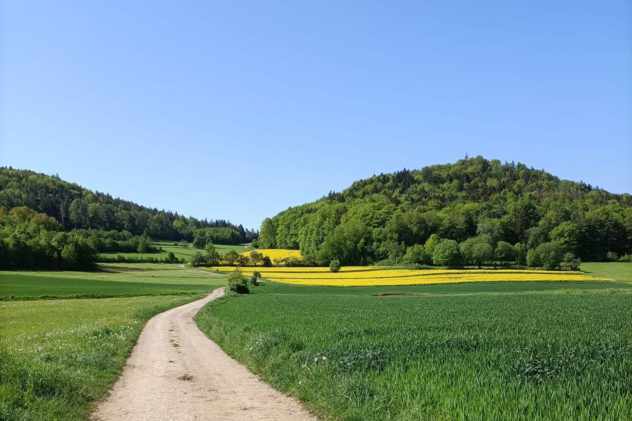 Wanderweg Beispiel